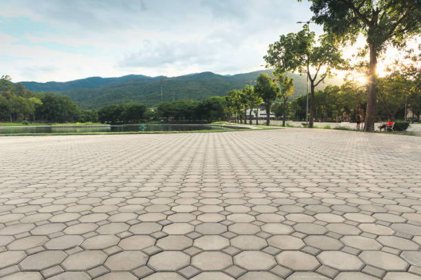 Best Concrete Paver Driveway  in Thunderbolt, GA