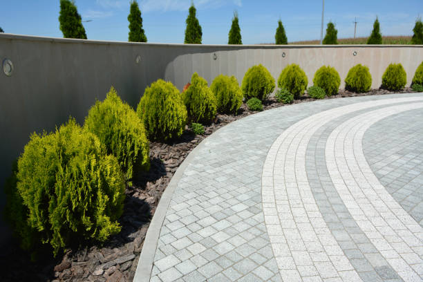 Best Residential Paver Driveway  in Thunderbolt, GA
